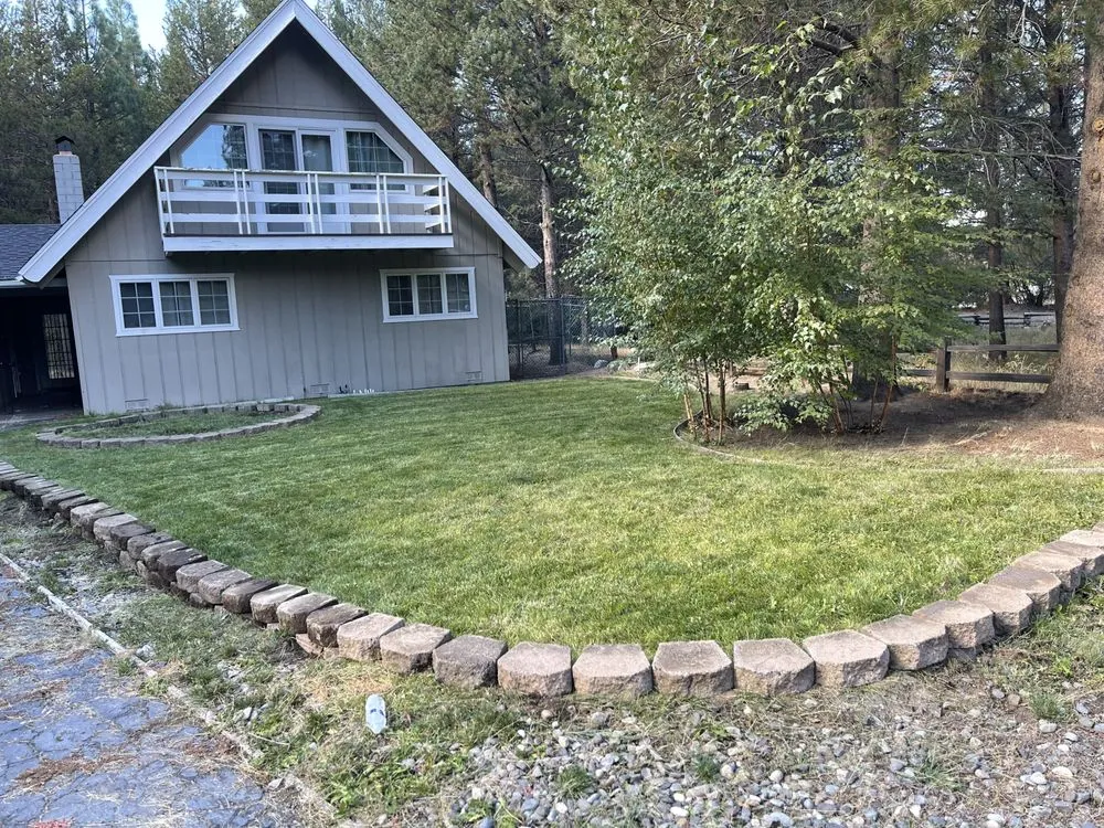 Affordable yard cleanup service experts serving South Lake Tahoe, CA - Lawn Maintenance