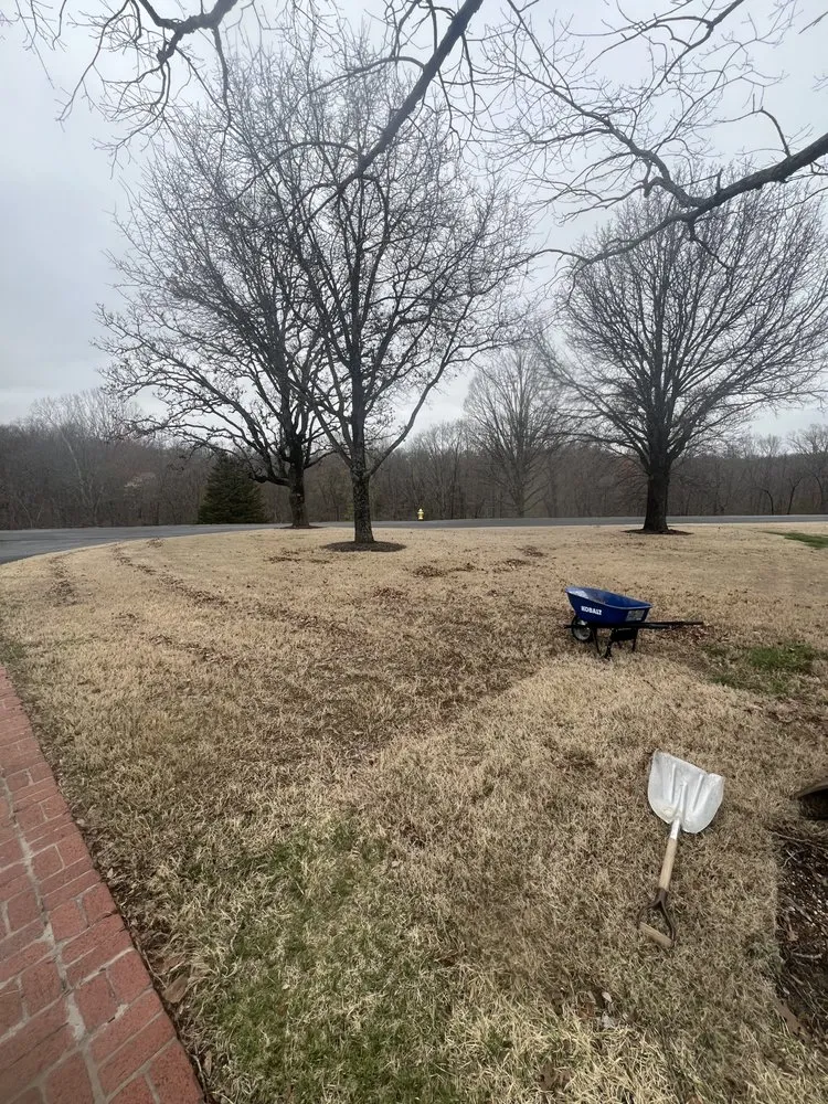 Affordable lawn care service in Siloam Springs, AR by Lawn Man