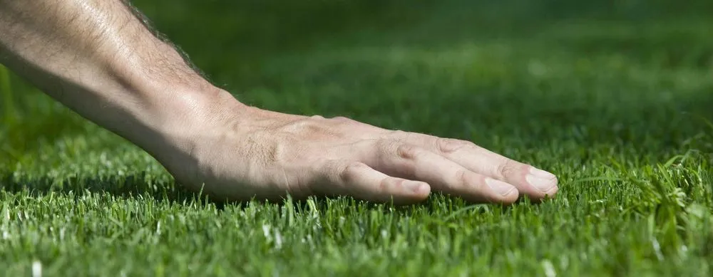 Expert garden landscaping for year-round maintenance across Lake Worth, FL - Lawn Management Cadets