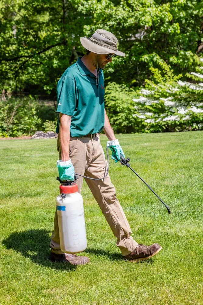 Top-rated lawn care service experts serving Holliston, MA - Lawn Management