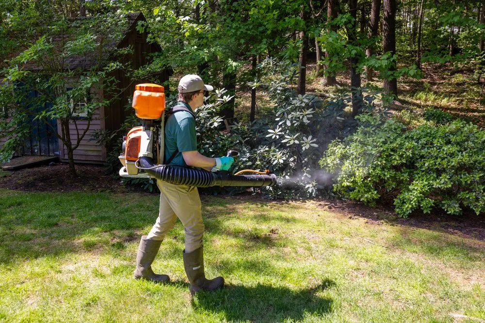 Expert landscaping services with custom design across Holliston, MA - Lawn Management