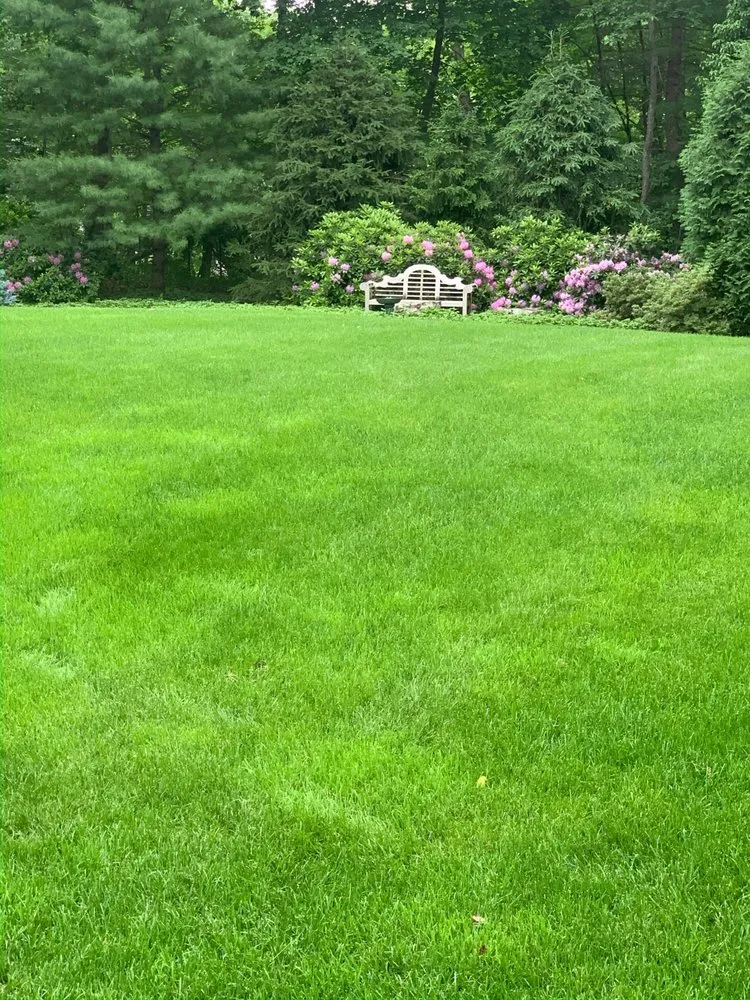 Custom outdoor landscaping in Holliston, MA - Lawn Management