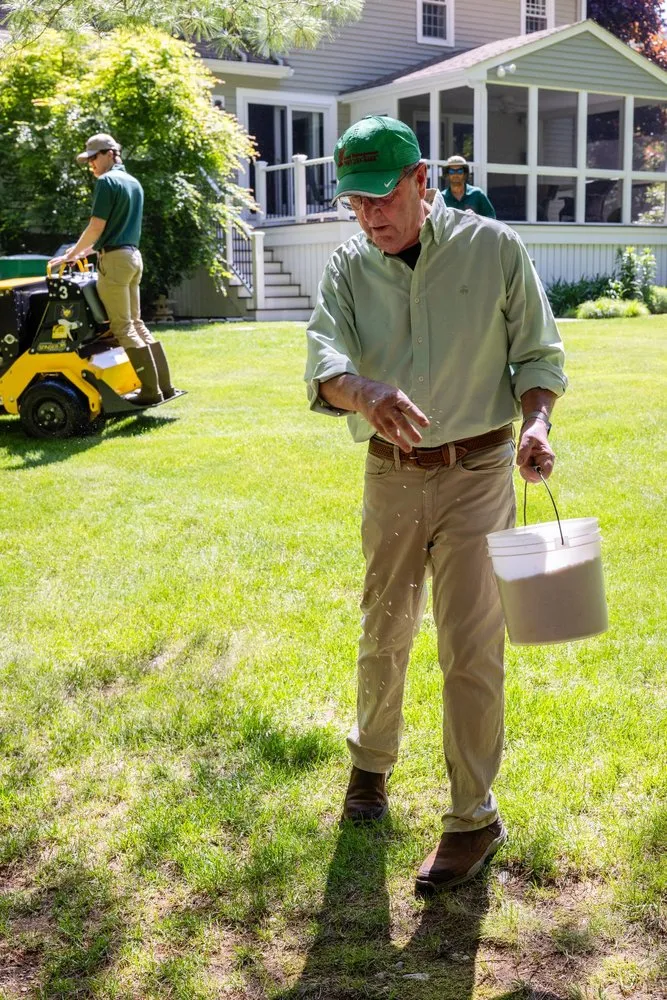 Professional residential landscaping in Holliston, MA - Lawn Management