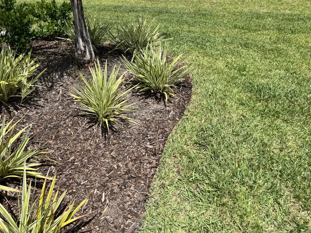 Reliable landscape design in St. Augustine, FL by Lawn Management