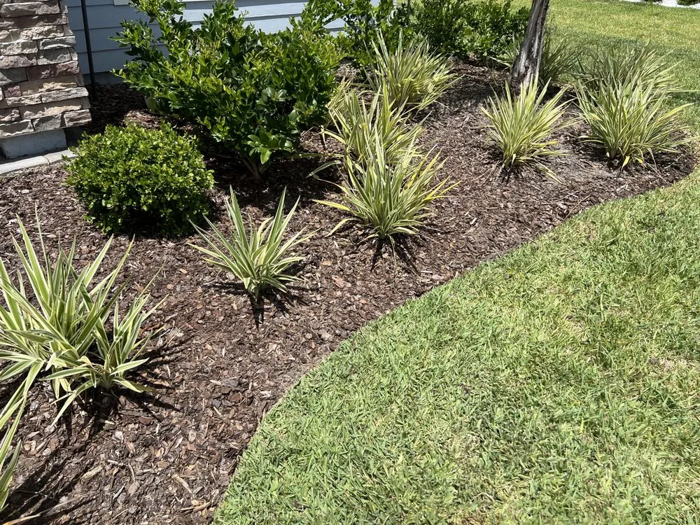 Affordable yard cleanup service experts serving St. Augustine, FL - Lawn Management