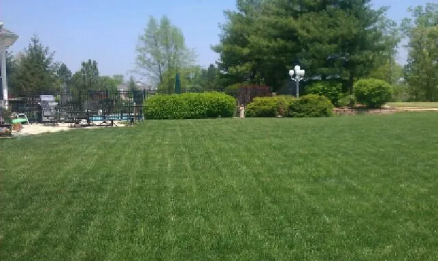 Affordable lawn care service experts serving High Ridge, MO - Lawn Managers