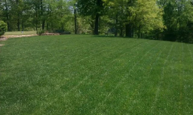 Affordable residential landscaping in High Ridge, MO by Lawn Managers
