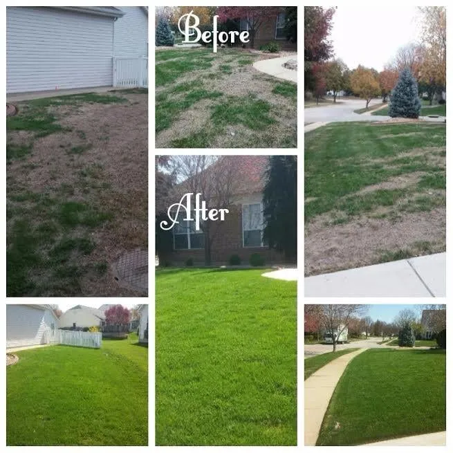 Affordable yard cleanup service for year-round maintenance in High Ridge, MO by Lawn Managers