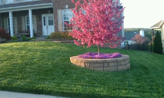 Custom landscaping services in High Ridge, MO by Lawn Managers