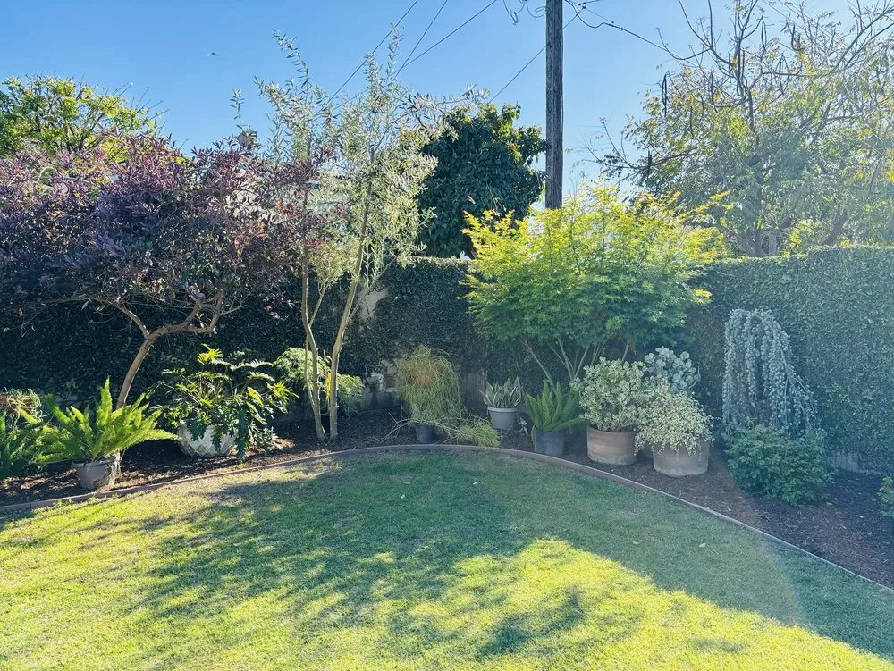 Expert landscape installation with custom design in Fullerton, CA by Lawn Master