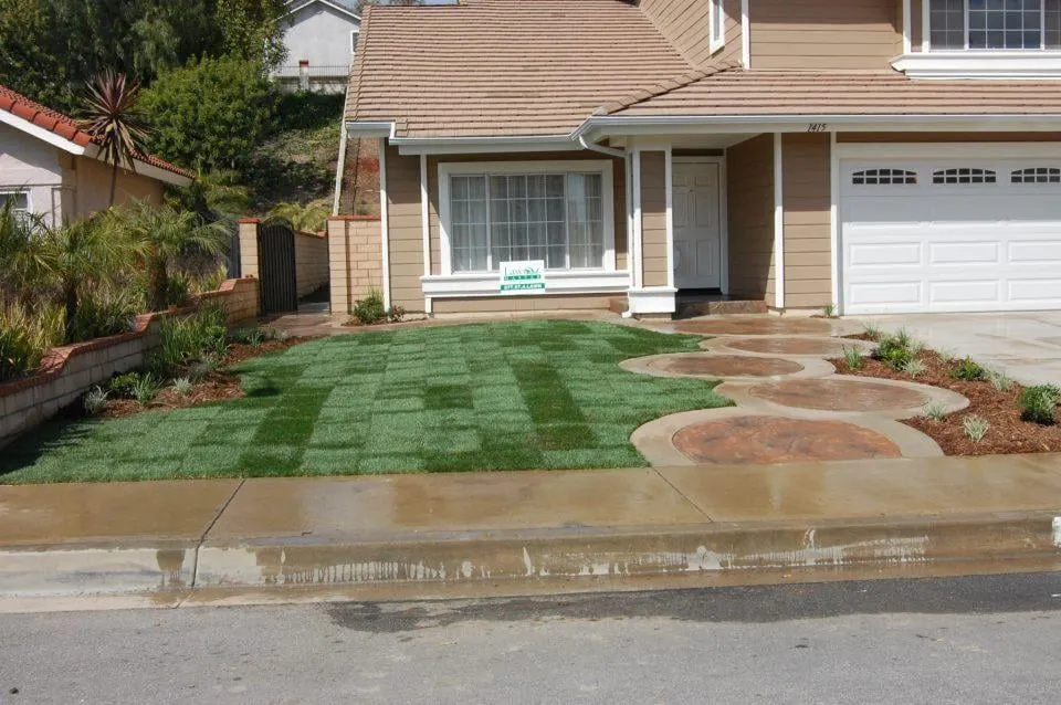 Top-rated yard cleanup service in Fullerton, CA by Lawn Master