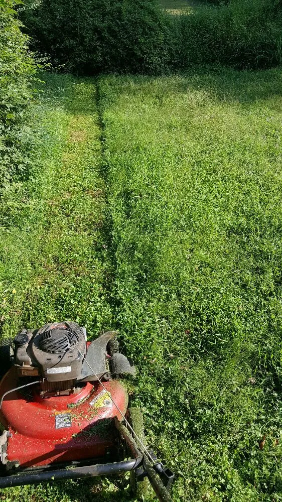 Local landscape installation in Hampton, GA by Lawn Master Services