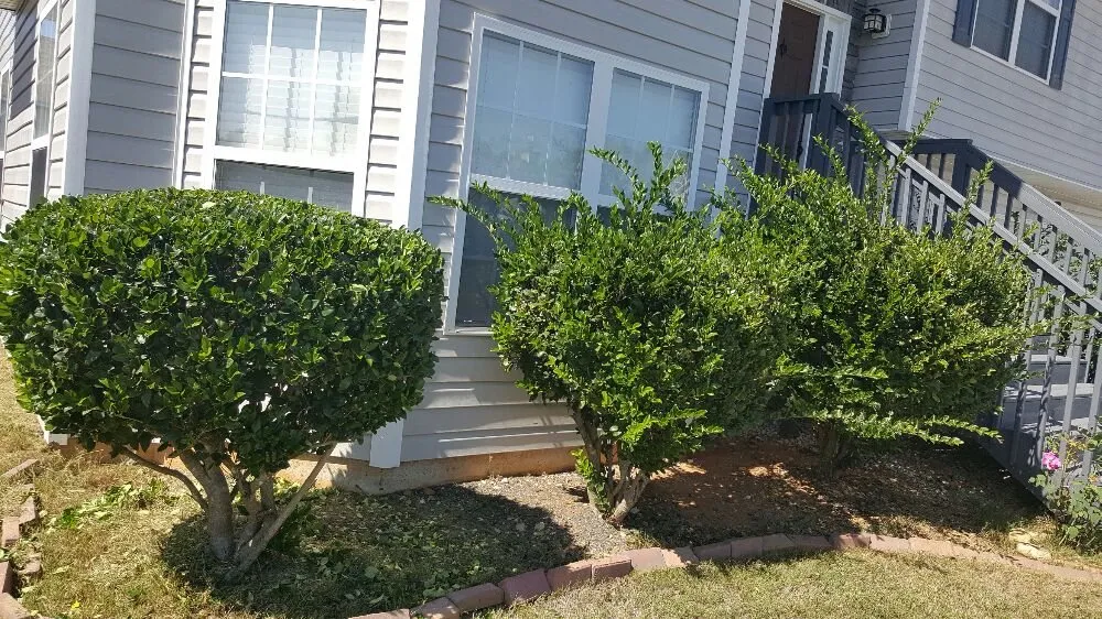 Top-rated lawn mowing service in Hampton, GA by Lawn Master Services