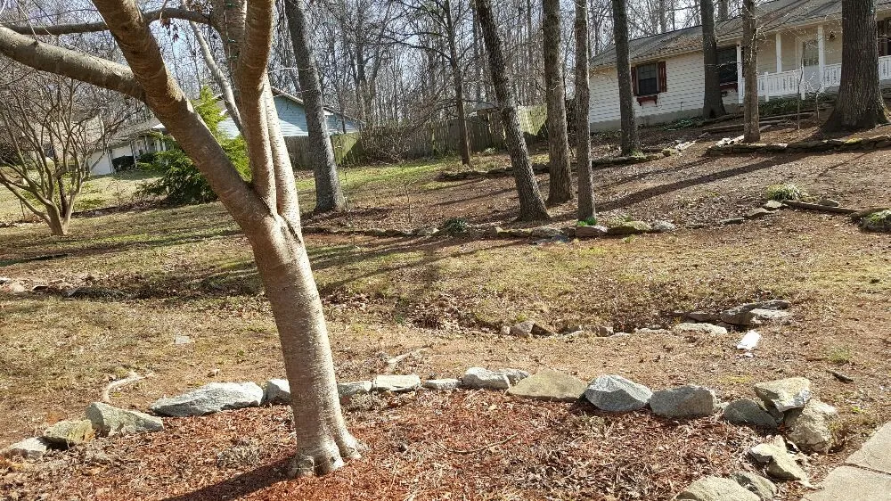 Professional residential landscaping in Hampton, GA by Lawn Master Services