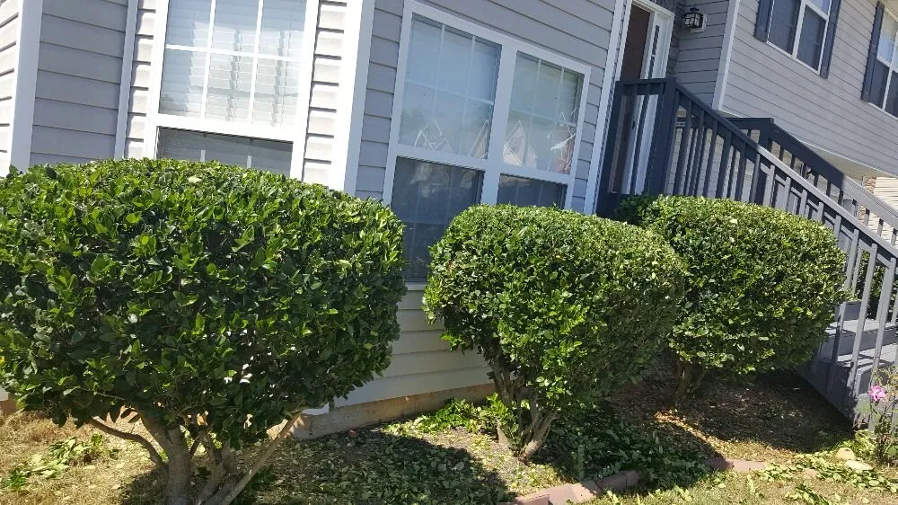 Reliable lawn care service for outdoor upgrades across Hampton, GA - Lawn Master Services