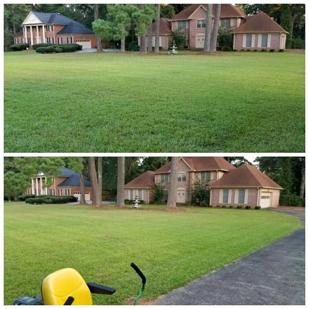 Local yard cleanup service in Hampton, GA by Lawn Master Services