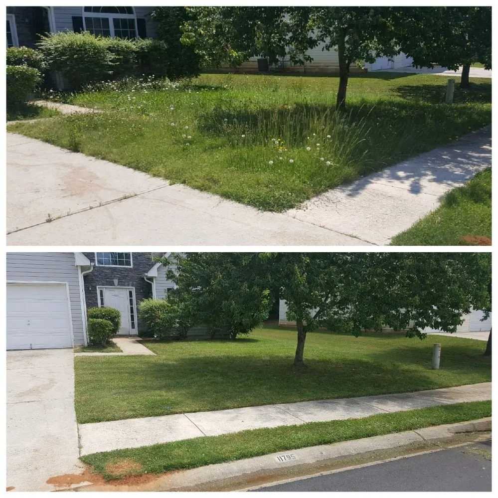 Professional landscaping services for year-round maintenance in Hampton, GA by Lawn Master Services
