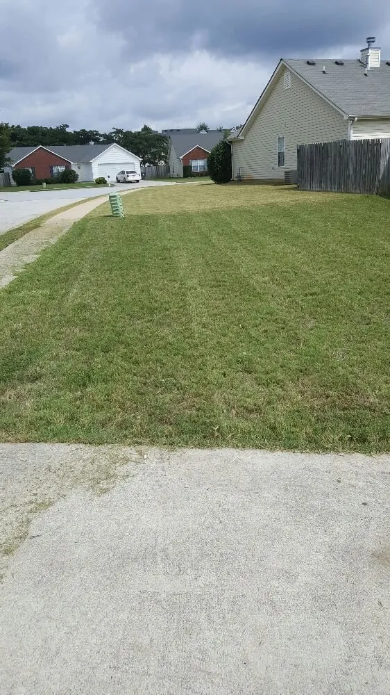 Top-rated lawn care service experts serving Hampton, GA - Lawn Master Services