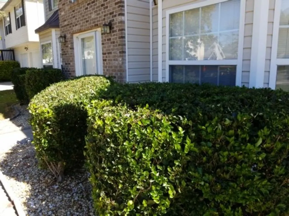 Expert yard cleanup service near you in Hampton, GA by Lawn Master Services