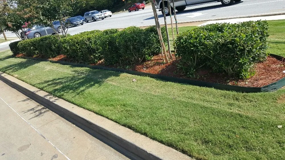 Expert lawn mowing service experts serving Hampton, GA - Lawn Master Services