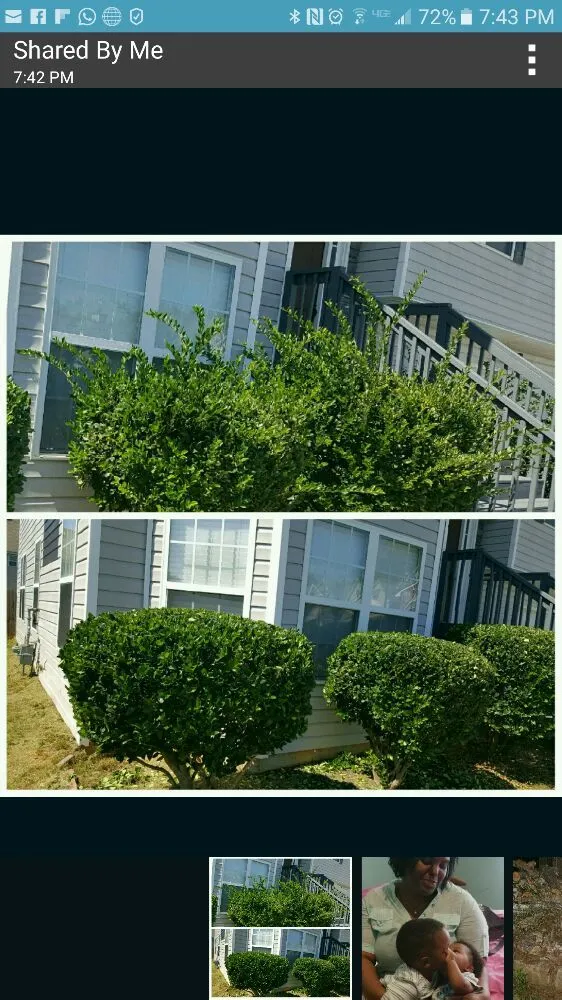 Expert lawn care service in Hampton, GA - Lawn Master Services