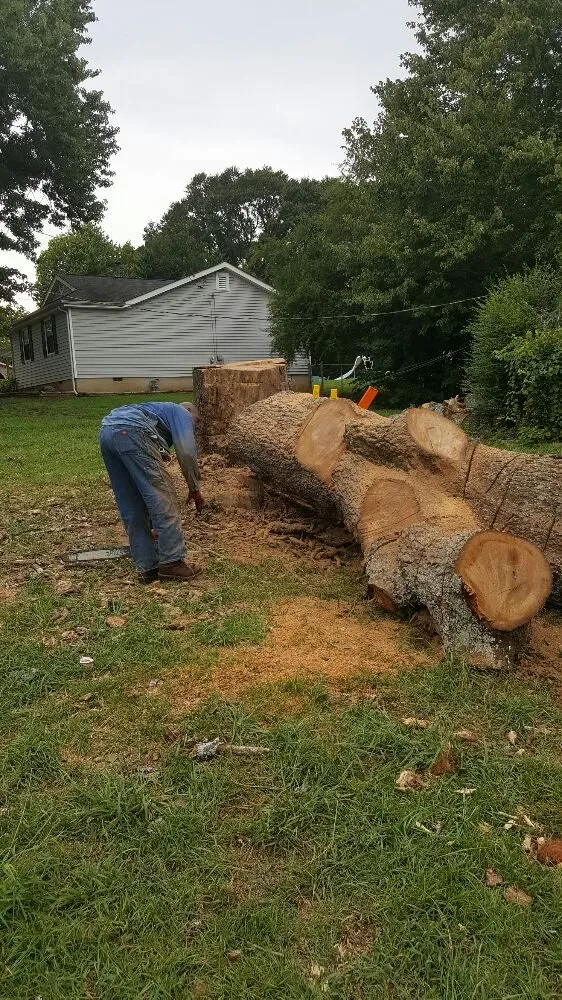 Trusted yard cleanup service in Hampton, GA - Lawn Master Services