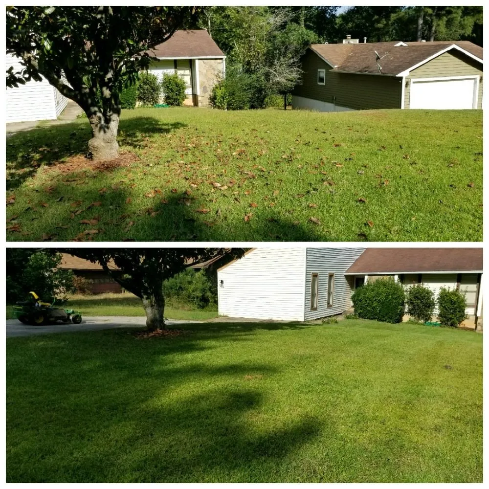 Top-rated landscape installation in Hampton, GA by Lawn Master Services