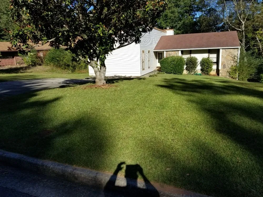 Expert yard cleanup service for residential properties across Hampton, GA - Lawn Master Services