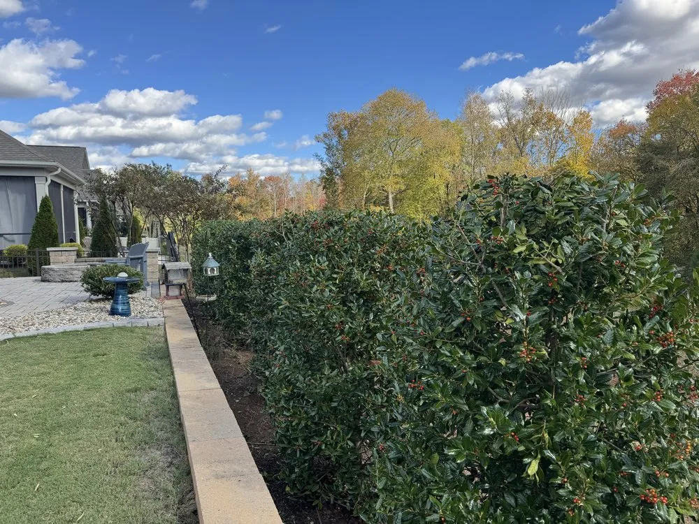 Local lawn mowing service for outdoor upgrades in Charlotte, NC by Lawn Masters Clt