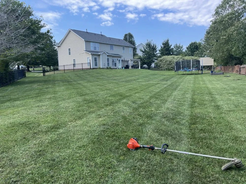 Top-rated outdoor landscaping experts serving Charlotte, NC - Lawn Masters Clt