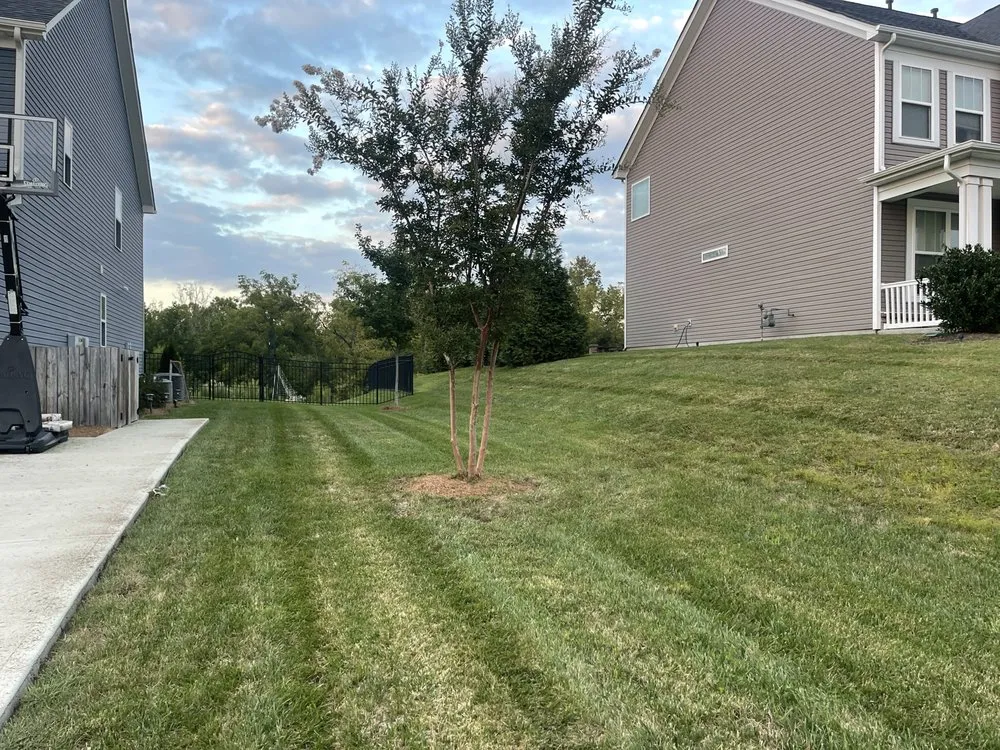Expert lawn care service for year-round maintenance across Charlotte, NC - Lawn Masters Clt