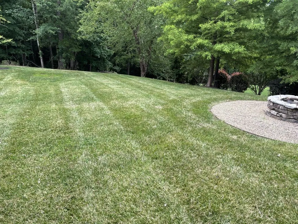 Top-rated lawn mowing service in Charlotte, NC by Lawn Masters Clt