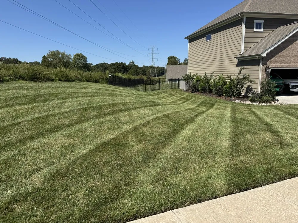 Top-rated yard cleanup service in Charlotte, NC - Lawn Masters Clt