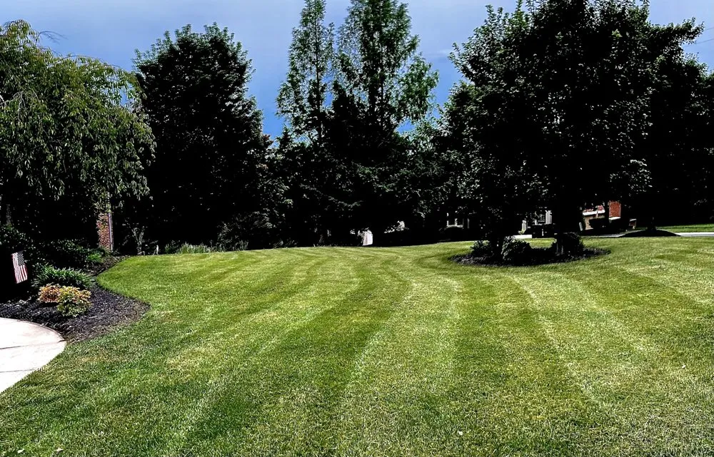 Top-rated outdoor landscaping in Charlotte, NC - Lawn Masters Clt