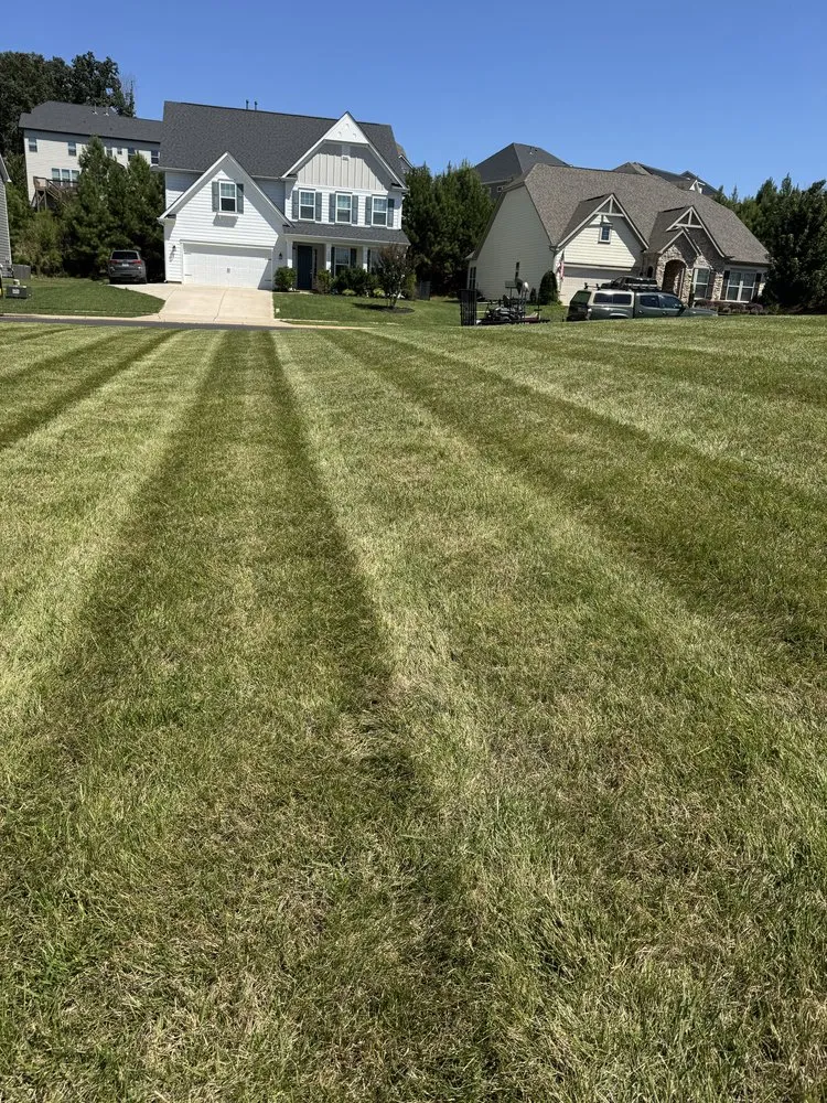 Reliable residential landscaping for residential properties in Charlotte, NC by Lawn Masters Clt