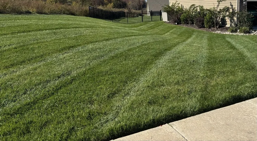 Reliable outdoor landscaping experts serving Charlotte, NC - Lawn Masters Clt