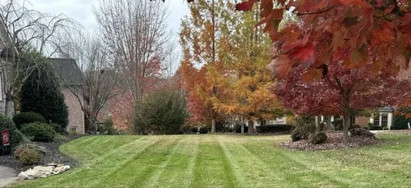 Lawn Masters Clt Logo