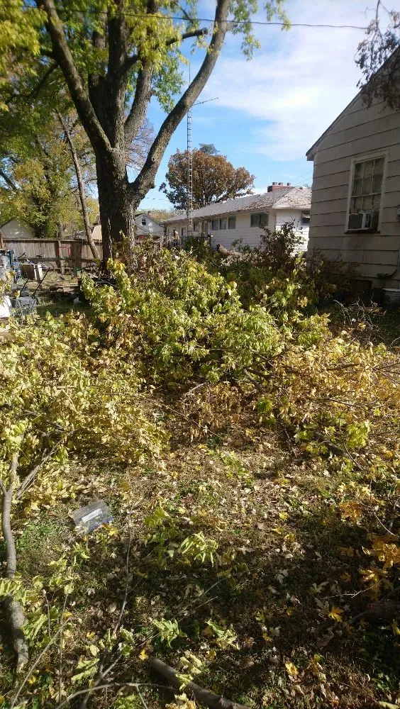 Affordable outdoor landscaping in Junction City, KS - Lawn Masters