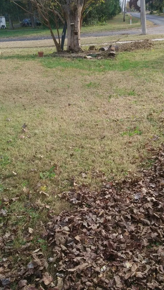 Affordable lawn mowing service experts serving Junction City, KS - Lawn Masters