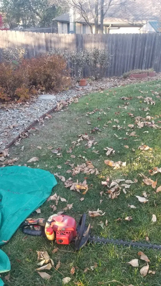 Expert yard cleanup service for homes in Junction City, KS by Lawn Masters