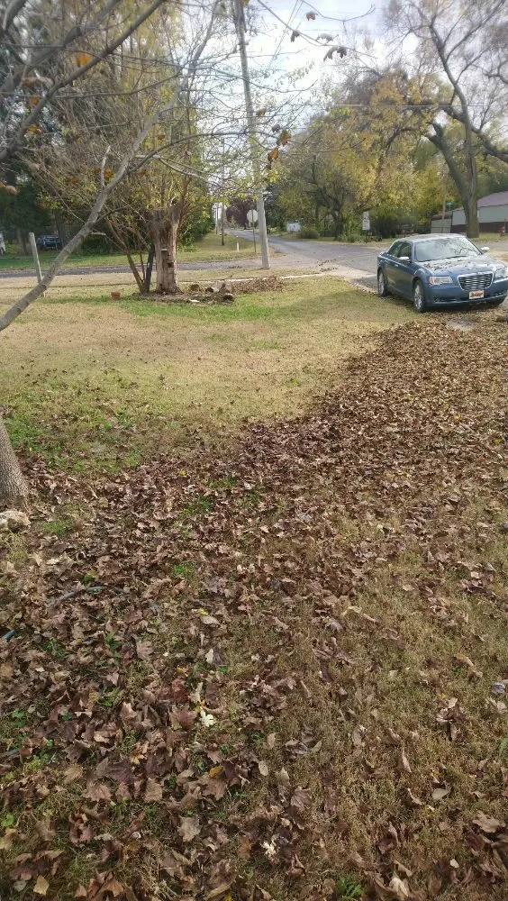 Top-rated landscape design in Junction City, KS - Lawn Masters