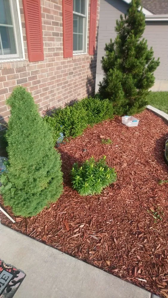 Top-rated yard cleanup service in Junction City, KS - Lawn Masters