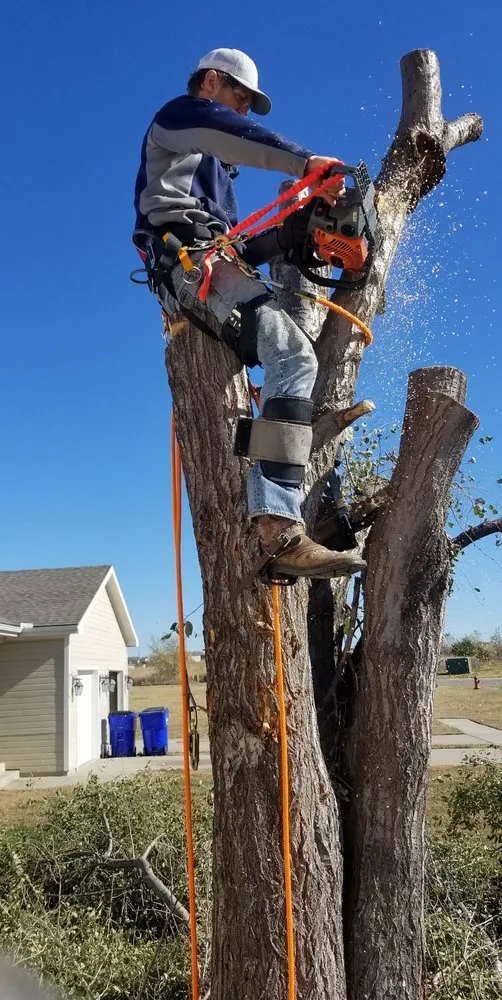 Reliable landscaping services for residential properties across Junction City, KS - Lawn Masters