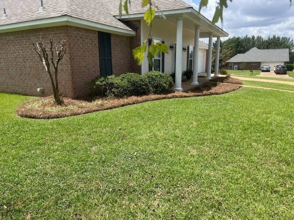 Local yard maintenance for year-round maintenance in Brandon, MS by Lawn Masters Landscape