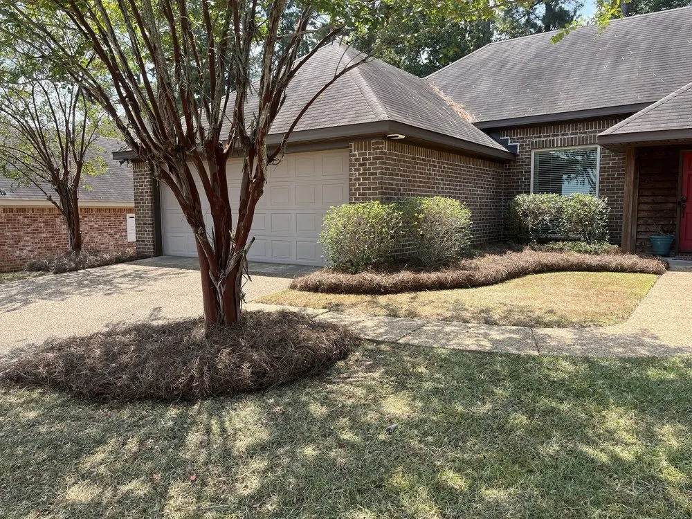 Top-rated lawn mowing service for outdoor upgrades in Brandon, MS by Lawn Masters Landscape