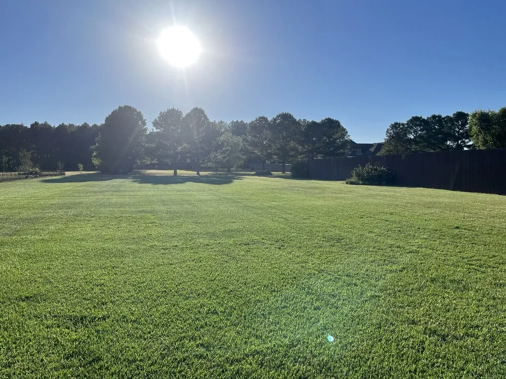 Trusted yard cleanup service in Brandon, MS by Lawn Masters Landscape