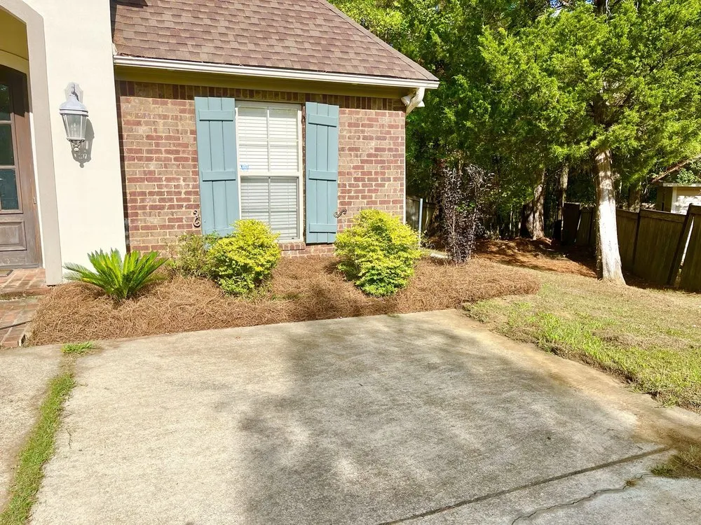 Expert landscaping services for homes across Brandon, MS - Lawn Masters Landscape