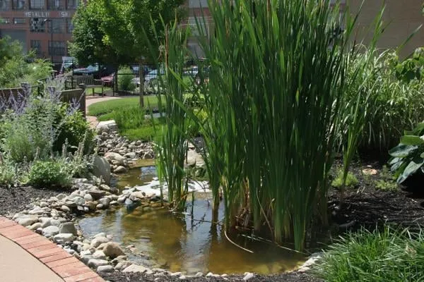 Custom lawn care service in Springfield, OH - Lawn Masters Lawn & Landscaping