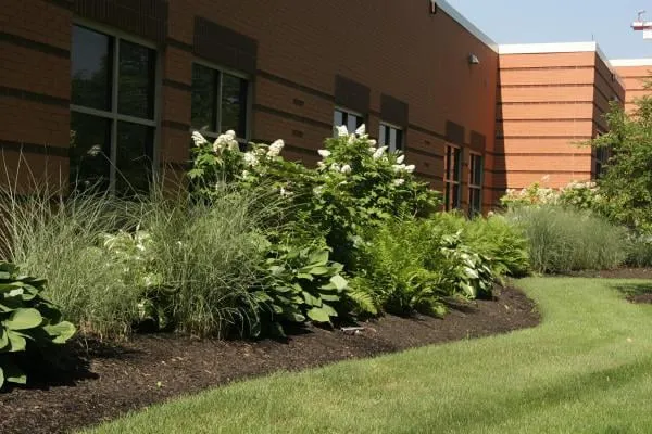 Professional yard cleanup service for year-round maintenance across Springfield, OH - Lawn Masters Lawn & Landscaping