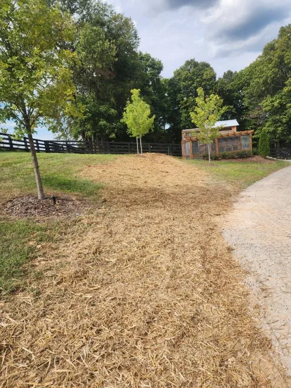 Custom landscaping services in Lebanon, TN by Lawn Masters